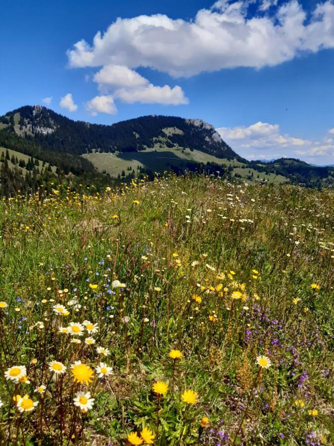 Fewo Niederndorferberg ภายนอก รูปภาพ