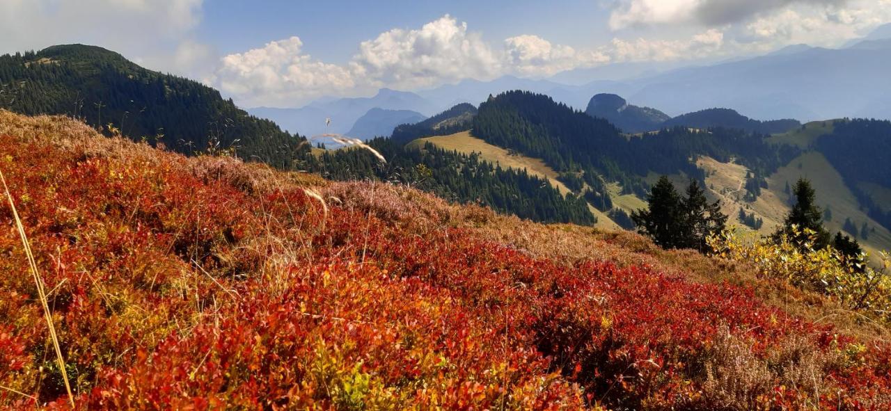 Fewo Niederndorferberg ภายนอก รูปภาพ